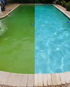 Before and after green Pool Cleaning in brea
