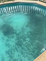 Dirty Pool with algae and common problems